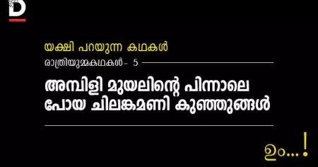രാത്രിയുമ്മക്കഥകള്‍- 5 അമ്പിളി മുയലിന്റെ പിന്നാലെ പോയ ചിലങ്കമണി കുഞ്ഞുങ്ങള്‍