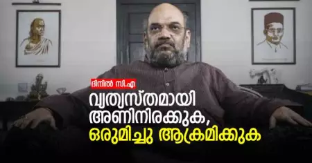 വ്യത്യസ്തമായി അണിനിരക്കുക, ഒരുമിച്ചു ആക്രമിക്കുക