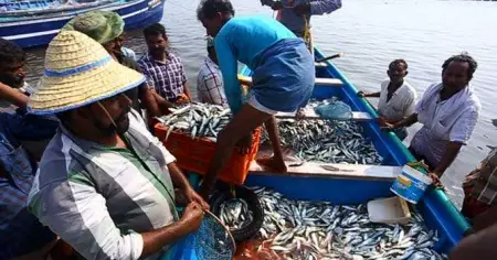 തീരാദുരിതം തുടരും തീരപ്രദേശം - മത്സ്യത്തൊഴിലാളി പ്രശ്നങ്ങൾ