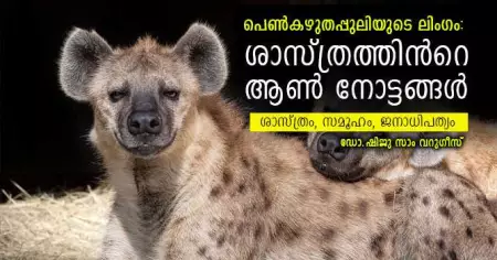 പെണ്‍കഴുതപ്പുലിയുടെ ലിംഗം: ശാസ്ത്രത്തിന്റെ ആണ്‍ നോട്ടങ്ങള്‍