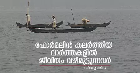 ഫോര്‍മലിന്‍ കലര്‍ത്തിയ വാര്‍ത്തകളില്‍ ജീവിതം വഴിമുട്ടുന്നവര്‍