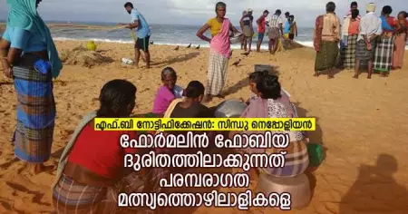 ഫോര്‍മലിന്‍ ഫോബിയ ദുരിതത്തിലാക്കുന്നത് പരമ്പരാഗത മത്സ്യത്തൊഴിലാളികളെ