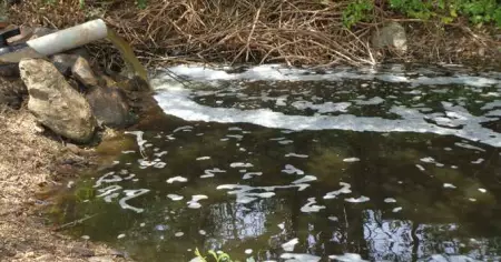 ഫാക്ടറി മാലിന്യം ശിരുവാണിപ്പുഴയിലേക്ക്: ശുദ്ധജല ക്ഷാമം രൂക്ഷമാകുന്നു
