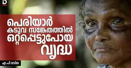 പെരിയാര്‍ കടുവ സങ്കേതത്തില്‍ ഒറ്റപ്പെട്ട പോയ വൃദ്ധ
