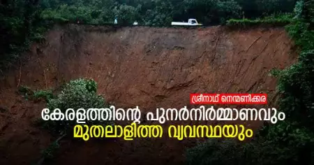 കേരളത്തിന്റെ പുനര്‍നിര്‍മ്മാണവും, മുതലാളിത്ത വ്യവസ്ഥയും