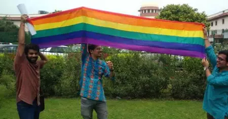 377 Verdict: The struggle to live and love continues