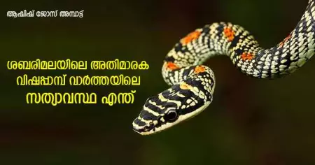 #KeralaHoaxBurst ശബരിമലയിലെ അതിമാരക വിഷപ്പാമ്പ് വാര്‍ത്തയിലെ സത്യാവസ്ഥ എന്ത്