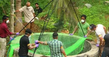 നിപ വൈറസ് വ്യാപിച്ചതെങ്ങനെ?