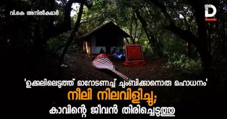 ബയോഡൈവേഴ്‌സിറ്റിയുടേയും ബയോഫീലിയയുടേയും ഉടല്‍ രൂപകങ്ങള്‍