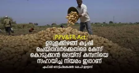 ഉരുളക്കിഴങ്ങ് കൃഷി ചെയ്തവര്‍ക്കെതിരെ കേസ് കൊടുക്കാന്‍ ലെയ്‌സ് കമ്പനിയെ സഹായിച്ച നിയമം ഇതാണ്