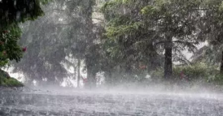 സംസ്ഥാനത്ത് ശക്തമായ മഴക്ക് സാധ്യത; ഇടുക്കിയില്‍ യെല്ലോ അലര്‍ട്ട് പ്രഖ്യാപിച്ചു