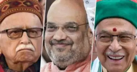 അദ്വാനിയെയും ജോഷിയെയും അനുനയിപ്പിക്കാന്‍ അമിത് ഷാ; നേരിട്ടുകണ്ട് കാരണങ്ങള്‍ വിശദീകരിക്കാന്‍ ശ്രമം