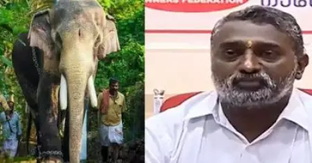 തെച്ചിക്കോട്ട് കാവ് രാമചന്ദ്രന്‍ അപകടമുണ്ടാക്കിയാല്‍ ഉത്തരവാദിത്തം ഏറ്റെടുക്കുമെന്ന് ആന ഉടമകളുടെ സംഘടന