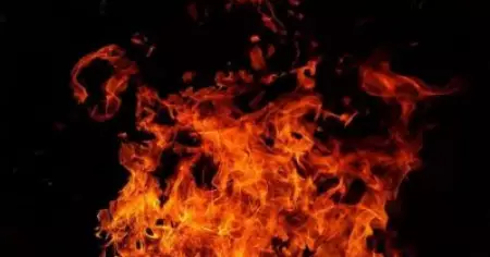 പ്ലസ്ടുവിലെ തോല്‍വി; തീകൊളുത്തി ആത്മഹത്യയ്ക്കു ശ്രമിച്ച പെണ്‍കുട്ടി മരിച്ചു