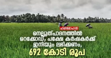 നെല്ലുത്പാദനത്തില്‍ റെക്കോഡ്; പക്ഷേ കര്‍ഷകര്‍ക്ക് ഇനിയും ലഭിക്കണം, 692 കോടി രൂപ