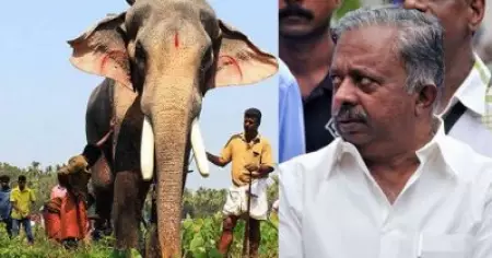 തെച്ചിക്കോട്ട്കാവ് രാമചന്ദ്രനെ എഴുന്നള്ളിക്കാനാവില്ല; ജനങ്ങളുടെ ജീവനാണ് വലുത്; നിക്ഷിപ്ത താത്പര്യക്കാരുടെ വ്യാജ പ്രചരണങ്ങളില്‍ വഞ്ചിതരാകരുതെന്നും വനംമന്ത്രി