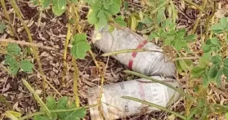 നാദാപുരത്ത് സ്വകാര്യ വ്യക്തിയുടെ പറമ്പില്‍ നിന്നും ബോംബ് ശേഖരം പിടിച്ചെടുത്തു
