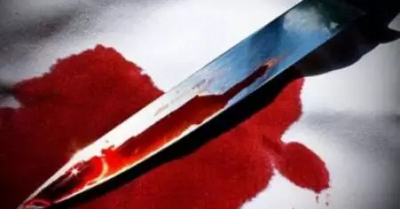 സി.പി.ഐ.എം പ്രവര്‍ത്തകനെ വെട്ടിയ കേസില്‍ എസ്.എഫ്.ഐ ഏരിയാകമ്മിറ്റി അംഗം അറസ്റ്റില്‍