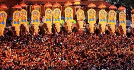 ആനയുടമകളെ 'തളച്ച്' സര്‍ക്കാര്‍ ; ദേവസ്വം ബോര്‍ഡിന് കീഴിലെ മുഴുവന്‍ ആനകളേയും പൂരത്തിന് വിട്ടുനല്‍കും
