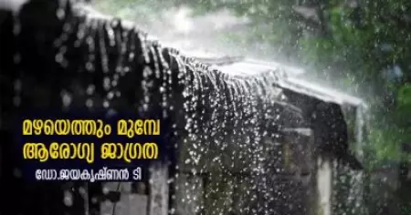 മഴയെത്തും മുമ്പേ - ആരോഗ്യ ജാഗ്രത