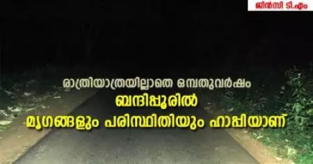 രാത്രിയാത്രയില്ലാതെ ഒമ്പതുവര്‍ഷം; ബന്ദിപ്പൂരില്‍ മൃഗങ്ങളും പരിസ്ഥിതിയും ഹാപ്പിയാണ്