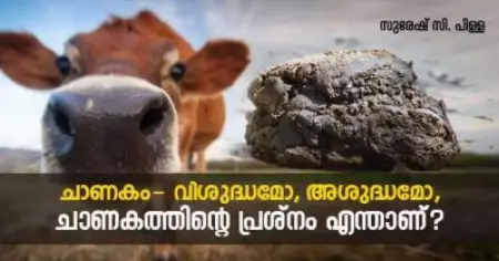 ചാണകം- വിശുദ്ധമോ, അശുദ്ധമോ, എന്താണ് ചാണകത്തിന്റെ പ്രശ്നം ?