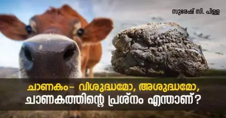 ചാണകം- വിശുദ്ധമോ, അശുദ്ധമോ, എന്താണ് ചാണകത്തിന്റെ പ്രശ്നം ?