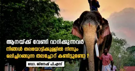 ആനയ്ക്ക് വേണ്ടി വാദിക്കുന്നവര്‍; തലയോട്ടിക്ക് ഉള്ളില്‍ നിന്നും ഒലിച്ചിറങ്ങുന്ന തലച്ചോറ് നിങ്ങള്‍ കണ്ടിട്ടുണ്ടോ