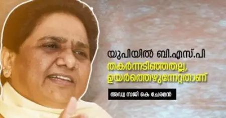 യുപിയില്‍ ബി.എസ്.പി തകര്‍ന്നടിഞ്ഞതല്ല,  ഉയര്‍ത്തെഴുന്നേറ്റതാണ്