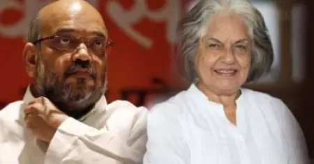 ഇന്ദിര ജെയ്‌സിങിന്റെ ലോയേഴ്‌സ് കളക്ടീവിനെതിരെ സിബിഐ; സംഘടനയെ തകര്‍ക്കുന്നതിന് പിന്നില്‍ അമിത് ഷായുടെ പക വീട്ടലോ?