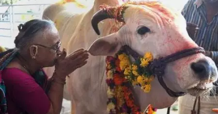ഹിന്ദു ദൈവങ്ങളെ അപമാനിച്ചെന്നാരോപിച്ച് കാഞ്ഞങ്ങാട് യുവാവിനെതിരെ മതനിന്ദാ കേസ്; തര്‍ക്കങ്ങളുടെ തുടക്കം പശുവിനെ കളിയാക്കിയതാണെന്ന് പരാതിയില്‍