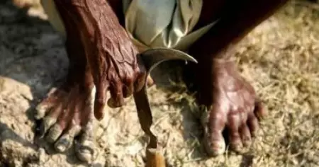 കേന്ദ്രപദ്ധതി പരാജയമാകുന്നു; കര്‍ഷകര്‍ക്ക് അയ്യായിരം കോടി ഇനിയും വേണം; ഇന്‍ഷുറന്‍സ് കമ്പനികളുടെ അംഗീകാരം വൈകുന്നു