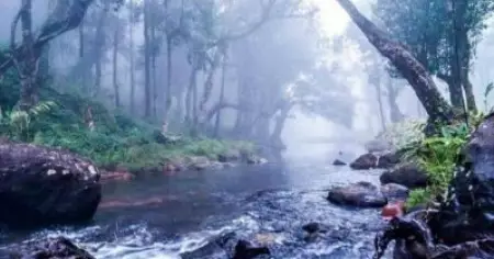 കാക്കത്തൊള്ളായിരം അനുഭവങ്ങള്‍ തരുന്ന തൊള്ളായിരം കണ്ടി
