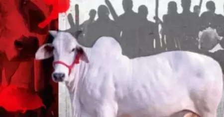 ഗുജറാത്തില്‍ ട്രാക്കിലേക്ക് ഓടിക്കയറിയ പശു ട്രെയിന്‍ തട്ടി ചത്തു; ലോക്കോ പൈലറ്റിനെ അക്രമിക്കാന്‍ ശ്രമിച്ച് ഗോരക്ഷകര്‍