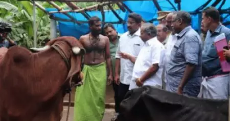 രണ്ട് ദിവസം കൂടി പട്ടിണിയായിരുന്നുവെങ്കില്‍ ഗോശാലയിലെ അഞ്ച് പശുക്കള്‍ ചത്തേനേ; വിദഗ്ദ സംഘം