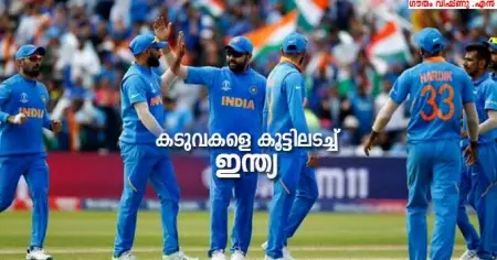 കടുവകളെ കൂട്ടിലടച്ച് ഇന്ത്യ