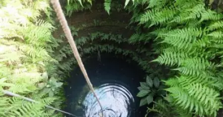 ഫോണ്‍ ചെയ്യുന്നതിനിടെ കിണറ്റില്‍ വീണു; രണ്ട് രാത്രിയും ഒന്നര പകലും ആരുമറിയാതെ