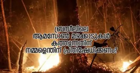 ബ്രസീലിലെ ആമസോണ്‍ മഴക്കാടുകള്‍ കത്തുന്നതിന് നമ്മളെന്തിന് പ്രതിഷേധിക്കണം?