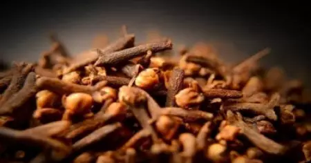 ഗ്രാ​മ്പു ശീ​ല​മാ​ക്കാം