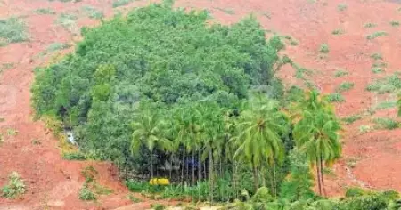 കവളപ്പാറയില്‍ ഉരുള്‍പൊട്ടലിന് നടുവില്‍ പോറല്‍പോലുമേല്‍ക്കാതെ ഒരു തുരുത്ത്; ദുരന്തം അതിജീവിച്ചത് എട്ട് വീടുകള്‍