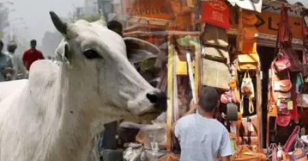 പശുവിന്റെ പേരിലുള്ള കൊലപാതകങ്ങള്‍ തുകല്‍ വിപണിയെ തള്ളിവിടുന്നത് വന്‍ നഷ്ടത്തിലേക്ക്; തകിടംമറിയുന്ന മോദിയുടെ 'മേക്കിങ് ഇന്ത്യ'