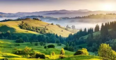 കാ​ടി​ന്‍റെ വ​ര​ദാ​നം... കൊ​ടൈ​ക്ക​നാ​ൽ