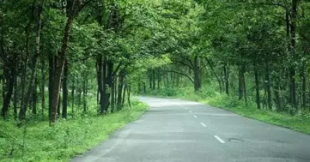 ബന്ദിപ്പൂര്‍ യാത്രാനിരോധന സമരത്തിന് ഐക്യദാര്‍ഢ്യവുമായി കോഴിക്കോടും; മേയറുടെ നേതൃത്വത്തിലുള്ള സംഘം ഇന്ന് സമരപ്പന്തല്‍ സന്ദര്‍ശിക്കും