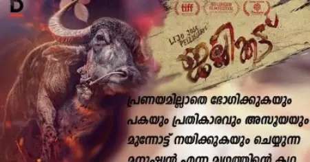 ജല്ലിക്കട്ട്; പ്രണയമില്ലാതെ ഭോഗിക്കുകയും പകയും പ്രതികാരവും അസൂയയും മുന്നോട്ട് നയിക്കുകയും ചെയ്യുന്ന മനുഷ്യന്‍ എന്ന മൃഗത്തിന്റെ കഥ