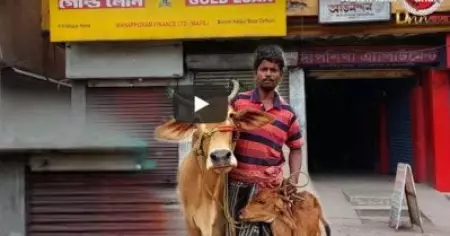 ബി.ജെ.പി നേതാവിന്റെ വാക്കുകള്‍ വെട്ടിലാക്കിയത് മണപ്പുറം ഫിനാന്‍സിനെ;  സ്വര്‍ണ്ണമുള്ള പാല്‍ തരുന്ന പശുക്കളെ പണയമായി സ്വീകരിച്ച് ഗോള്‍ഡ് ലോണ്‍ തരണം എന്നാവശ്യപ്പെട്ട് ആളുകള്‍