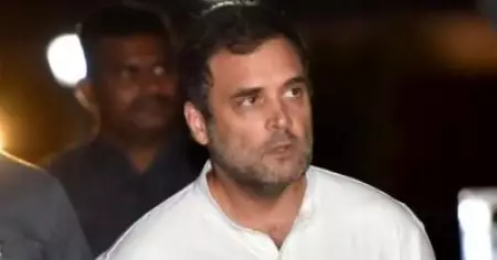 'രാഹുല്‍ ഗാന്ധി ഇപ്പോഴും രാഷ്ട്രീയത്തില്‍ ഇന്റേണ്‍ഷിപ്പ് ചെയ്യുകയാണ്'; കോണ്‍ഗ്രസ് നേതാവിന്റെ നേതൃപാടവത്തെ പരിഹസിച്ച് മുന്‍ വിശ്വസ്തന്‍