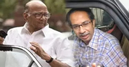 ആദ്യം ശരദ് പവാര്‍, പിന്നെ ഉദ്ധവ് താക്കറെ; വിമതരെ അനുനയിപ്പിക്കാന്‍ ഓടിനടന്ന് നേതാക്കള്‍