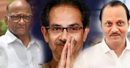 താക്കറെ മന്ത്രിസഭയില്‍ പ്രമുഖ സ്ഥാനങ്ങള്‍ എന്‍.സി.പിക്ക്?; ആഭ്യന്തരത്തിനൊപ്പം അജിത് പവാറിന്റെ ഉപമുഖ്യന്ത്രി സ്ഥാനവും പരിഗണനയില്‍