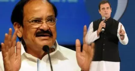 'രാജ്യത്തെ അപകീര്‍ത്തിപ്പെടുത്തരുത്'; രാഹുല്‍ ഗാന്ധിയുടെ 'റേപ്പ് കാപിറ്റല്‍' പരാമര്‍ശത്തിനെതിരെ ഉപരാഷ്ട്രപതി