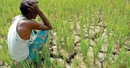 അധികാരവടംവലി കൊടുമ്പിരികൊണ്ട നവംബറില്‍ മഹാരാഷ്ട്രയില്‍ ആത്മഹത്യ ചെയ്തത് 300 കര്‍ഷകര്‍